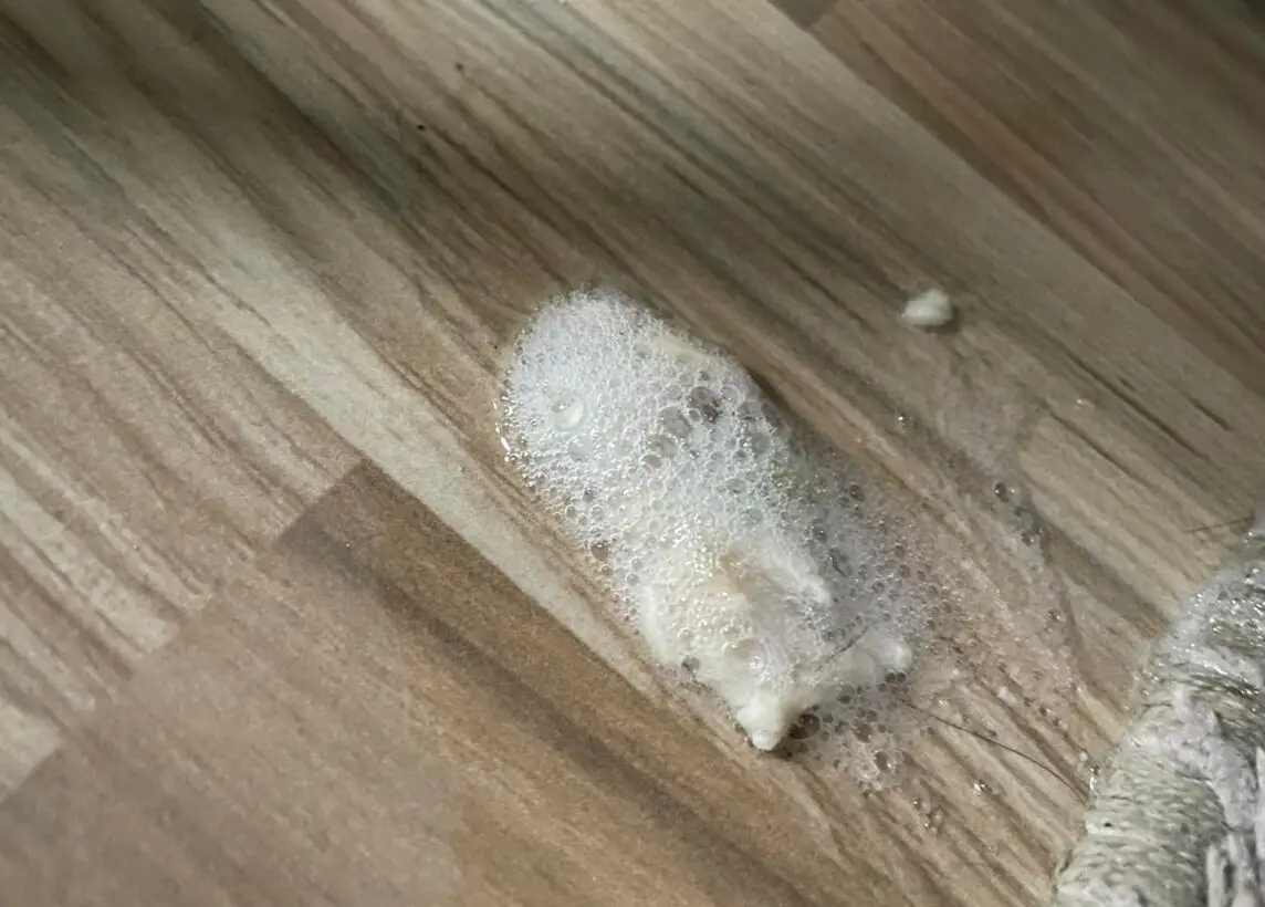 What To Do If Your Dog Ate Poop And Is Throwing Up White Foam