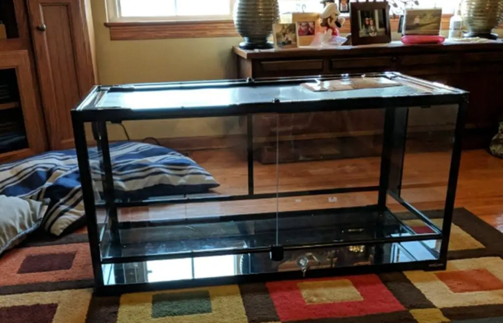 Top 5 Best 40-Gallon Tanks For Hamsters