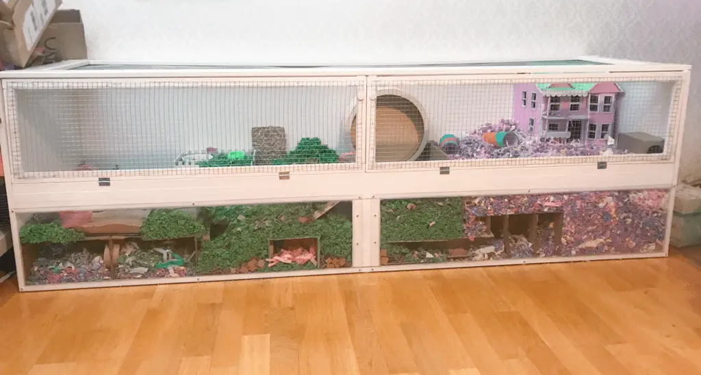 En İyi 7 Akvaryum Hamster Kafesi