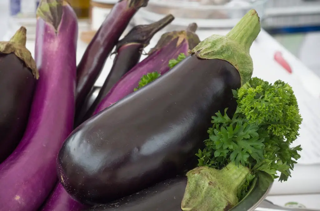 Can Dogs Eat Eggplant Skin